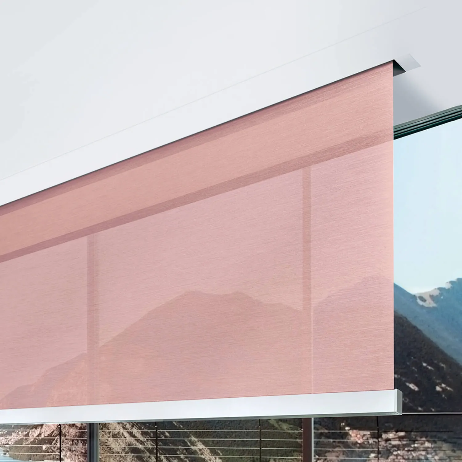 Рулонные шторы Pan Maxi-1