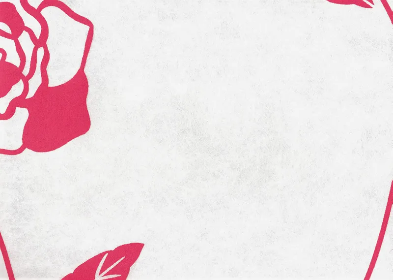 Рулонные шторы RF-NW69795-05