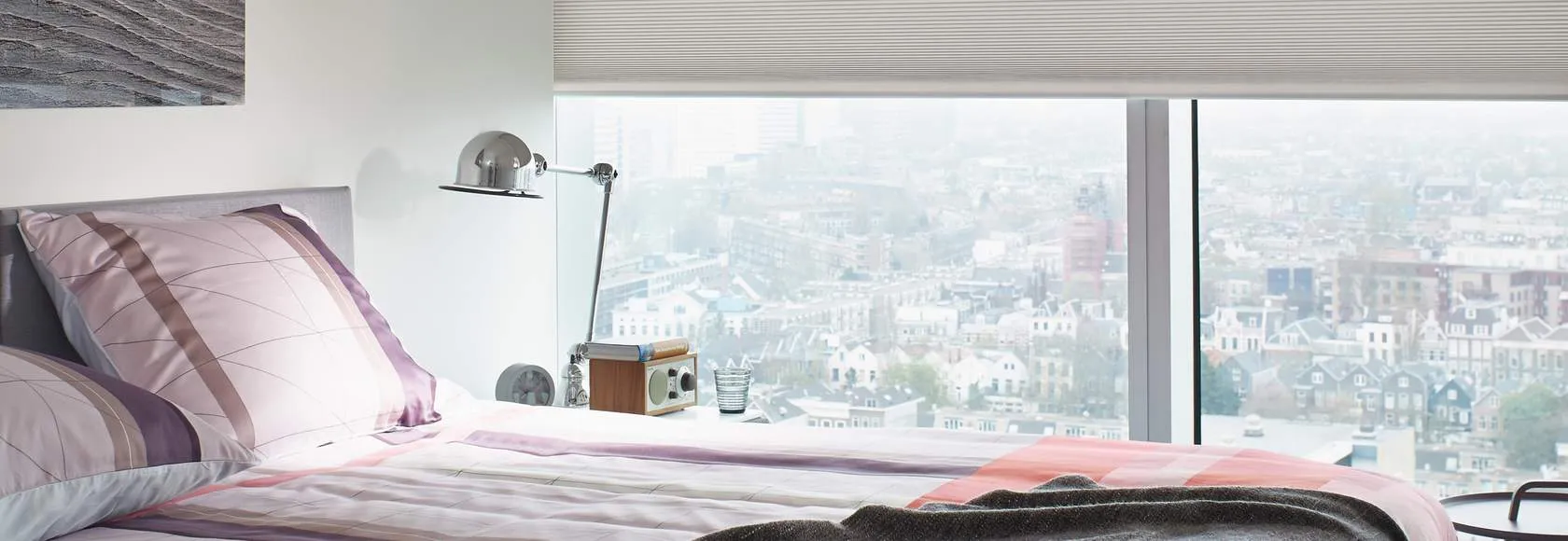 Плиссированные шторы DS_1384.8