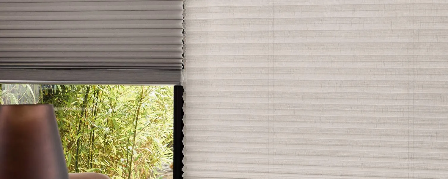 Плиссированные шторы DS_1610.2