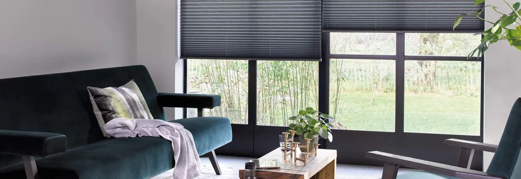 Плиссированные шторы PB_1515