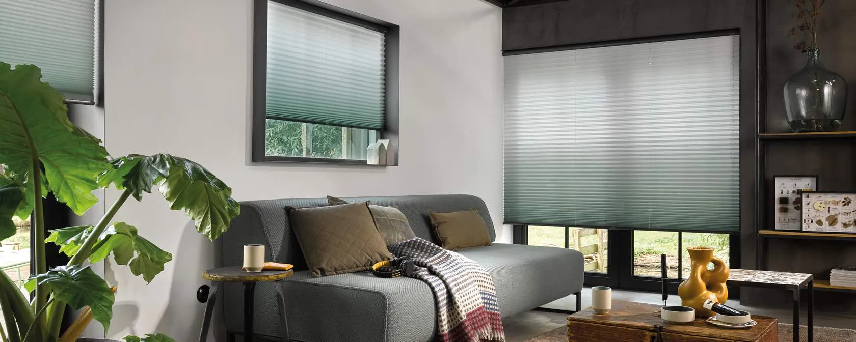 Плиссированные шторы PB_1539