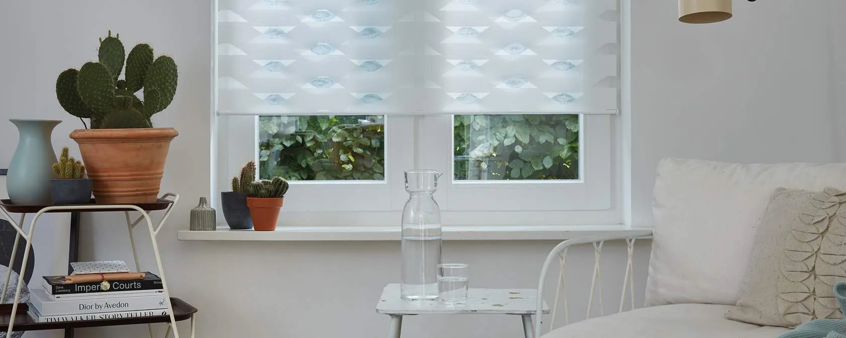 Рулонные шторы TW_0098.0