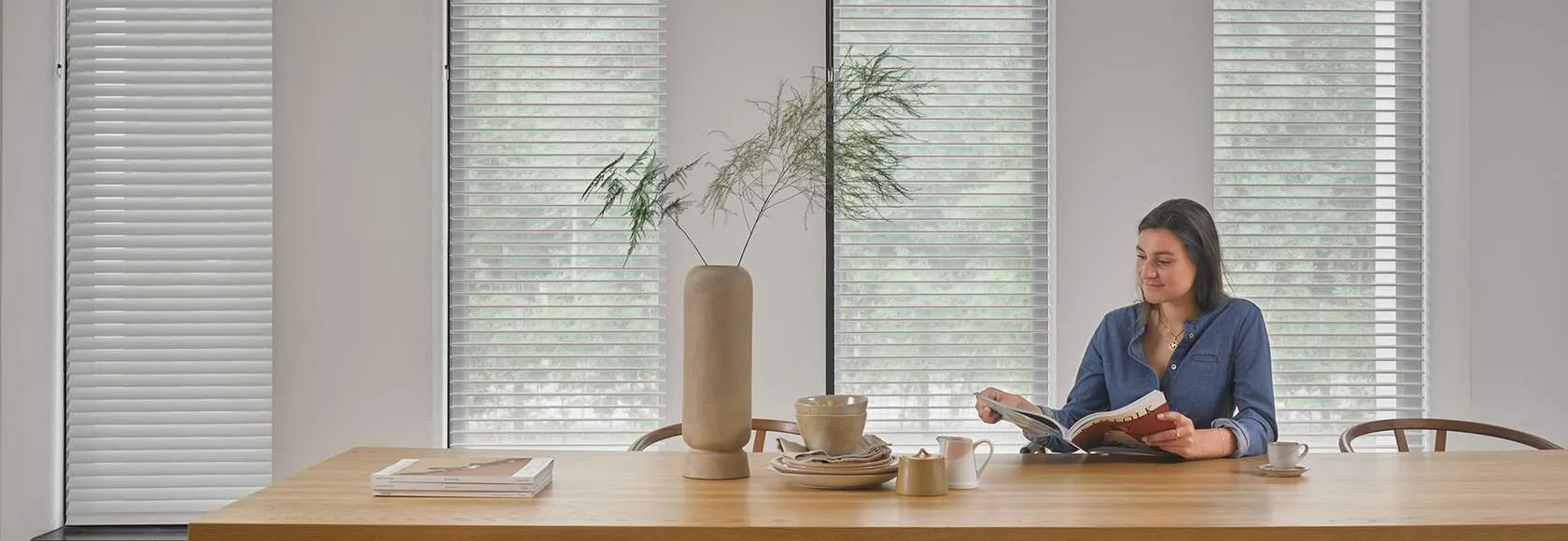 Жалюзи горизонтальные SIL_0340.2