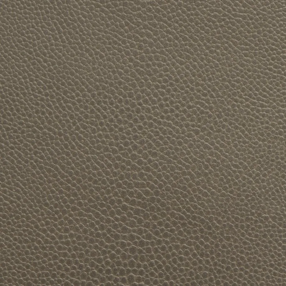 6000-05_Stingray_TrueRay_WM