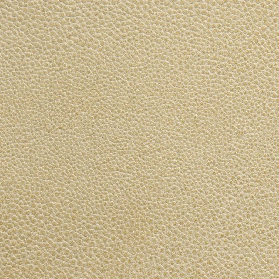 6000-08_Stingray_IvoryCoast_WM