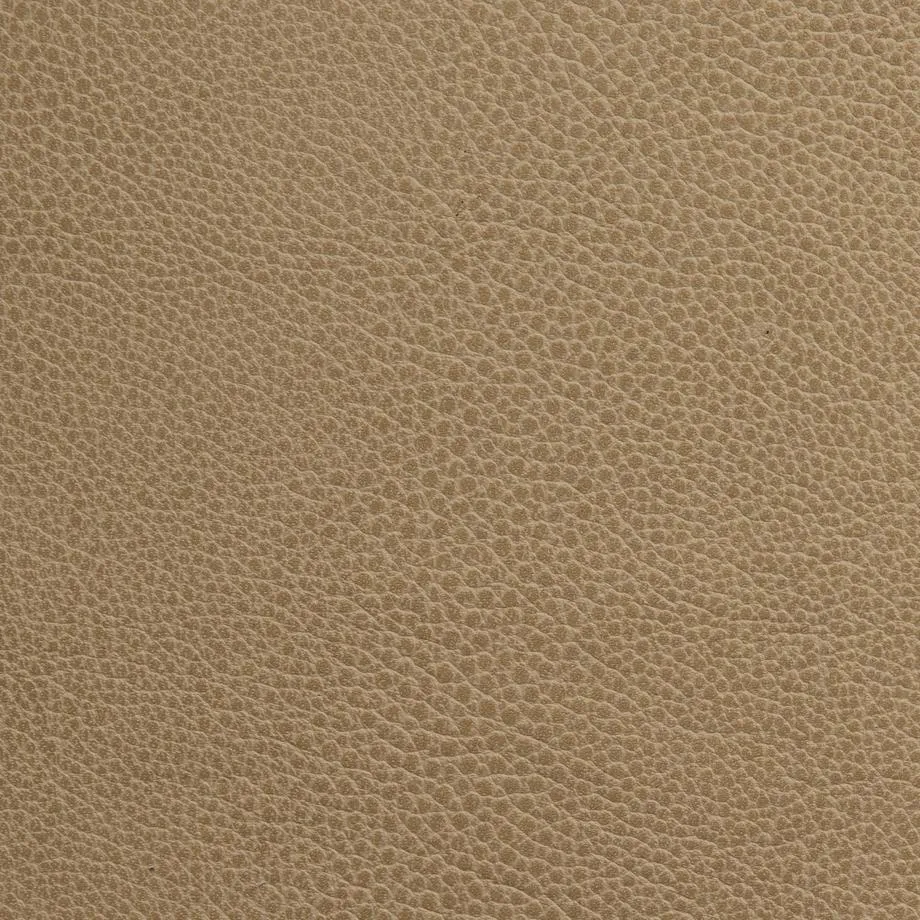 6000-35_Stingray_TreasureChest_WM_0