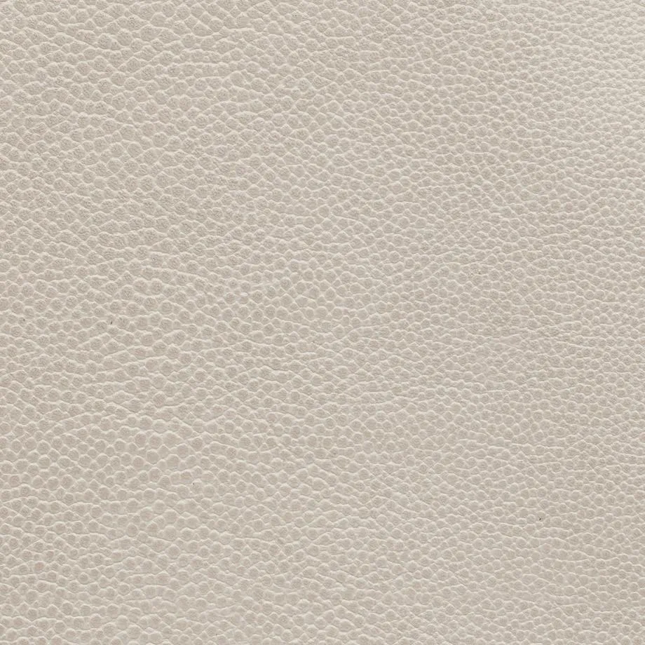 6000-40_Stingray_Seagull_WM