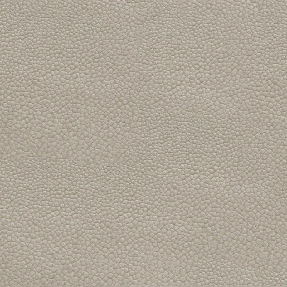 6000-52_Stingray_Silverfish_WM_2