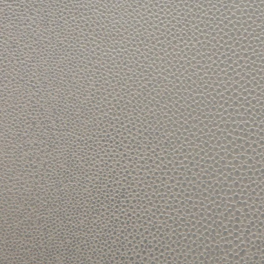 6000-53_Stingray_Dolphin_WM_2