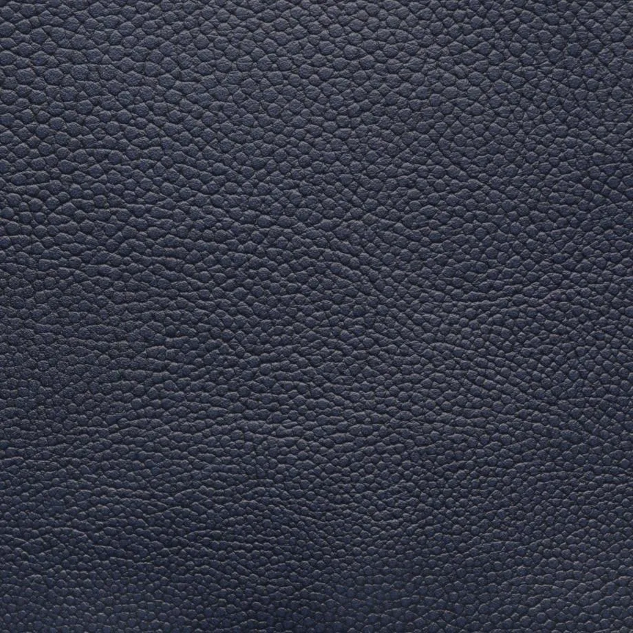 6000-67_Stingray_Antarctica_WM_2