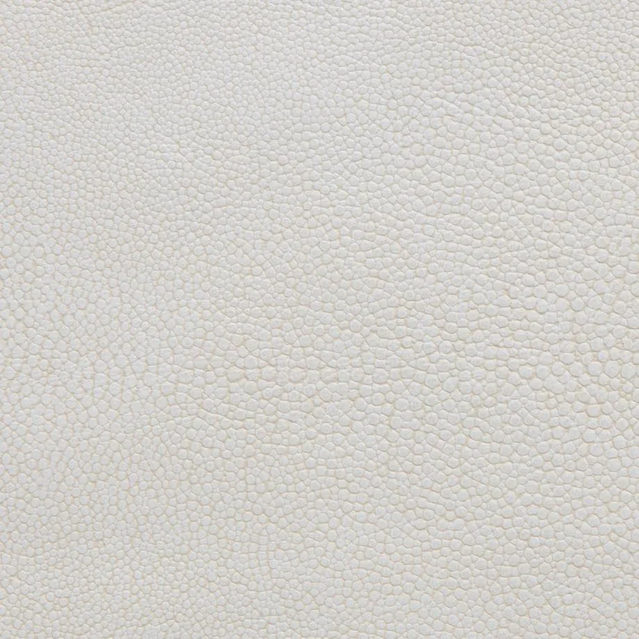 6000-69-Stingray_Iceland_WM