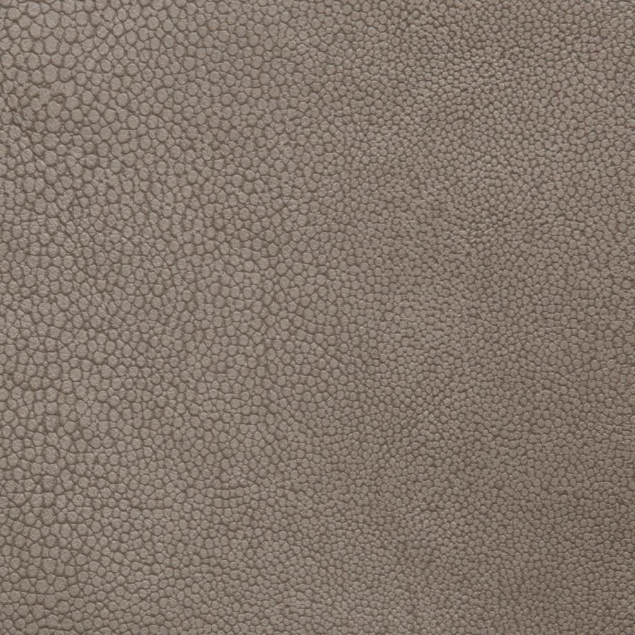 6000-71-Stingray_Terra_WM_2