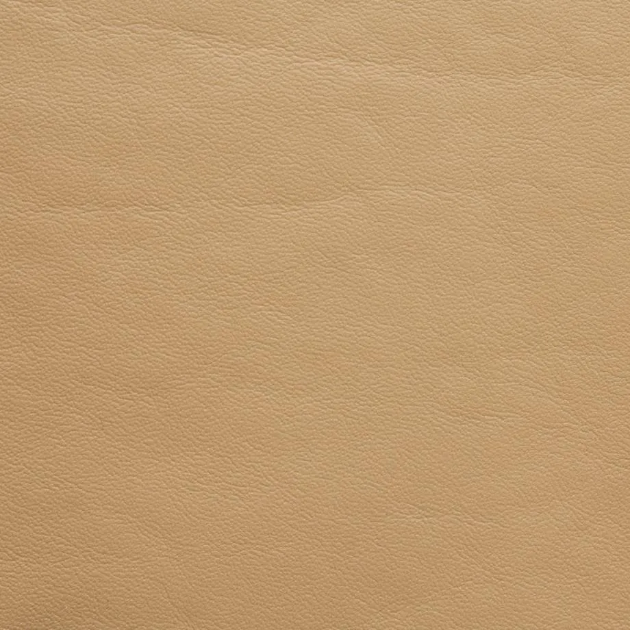 7500-07_Caledonian_Sahara_WM_2