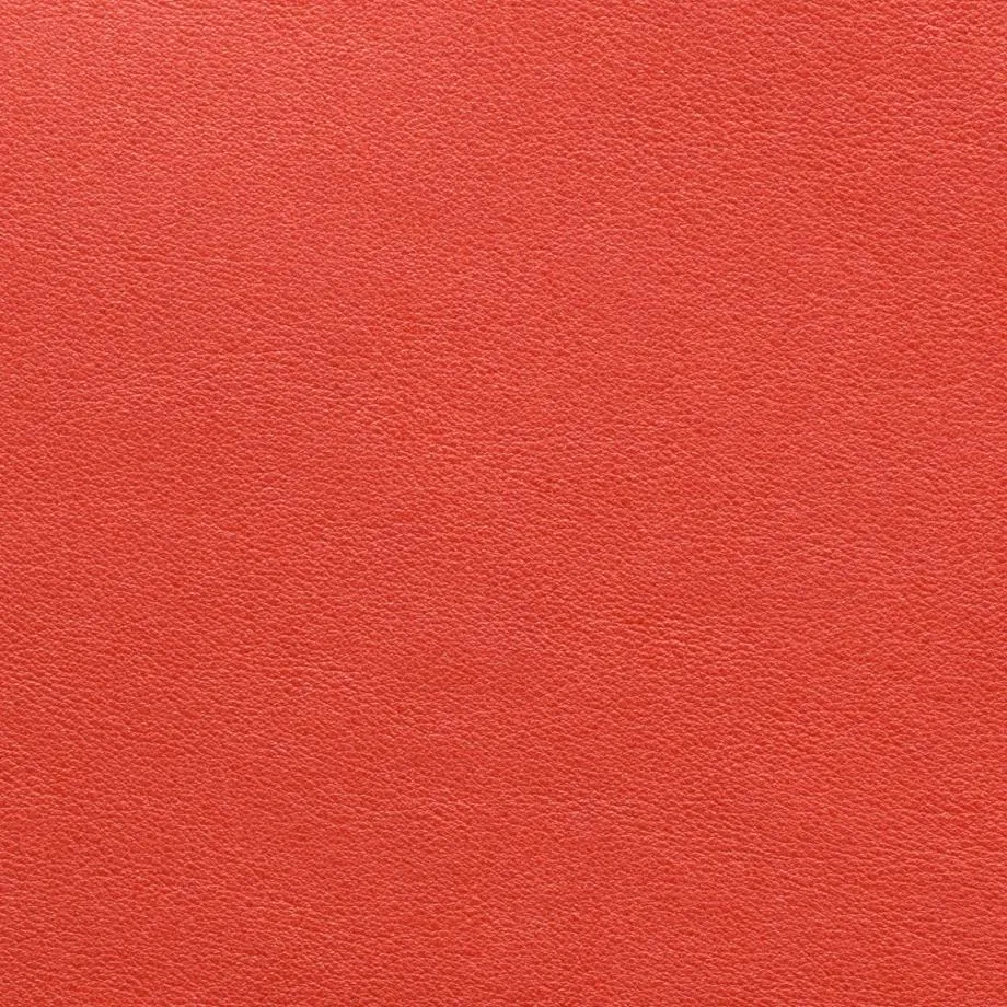 9376-10_Romeo_TropicalHeat_WM_2