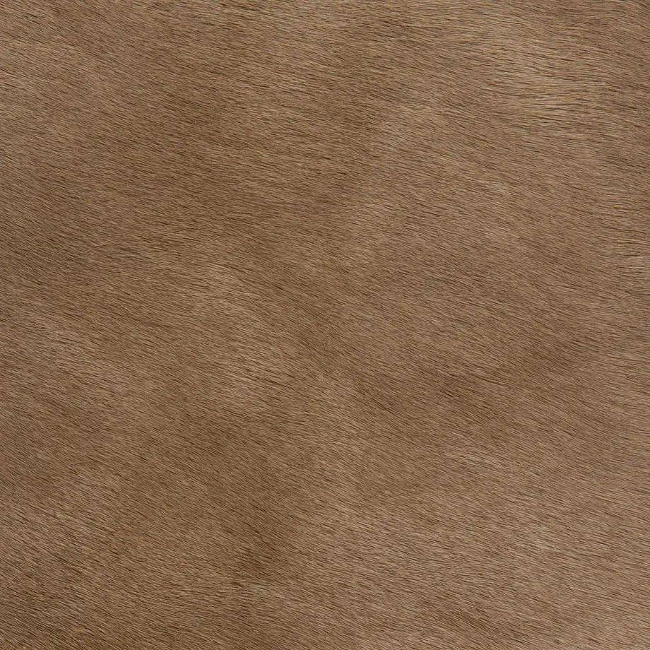 7050-01_ManeAttraction_Autumn_WM