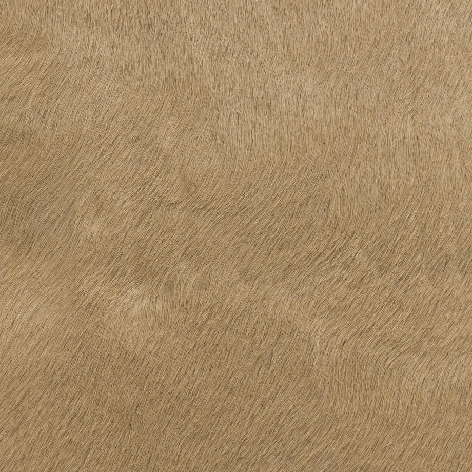 7050-07_ManeAttraction_SummerSun_WM