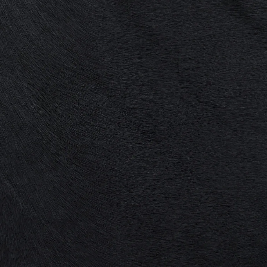 7050-16_ManeAttraction_Midnight_WM