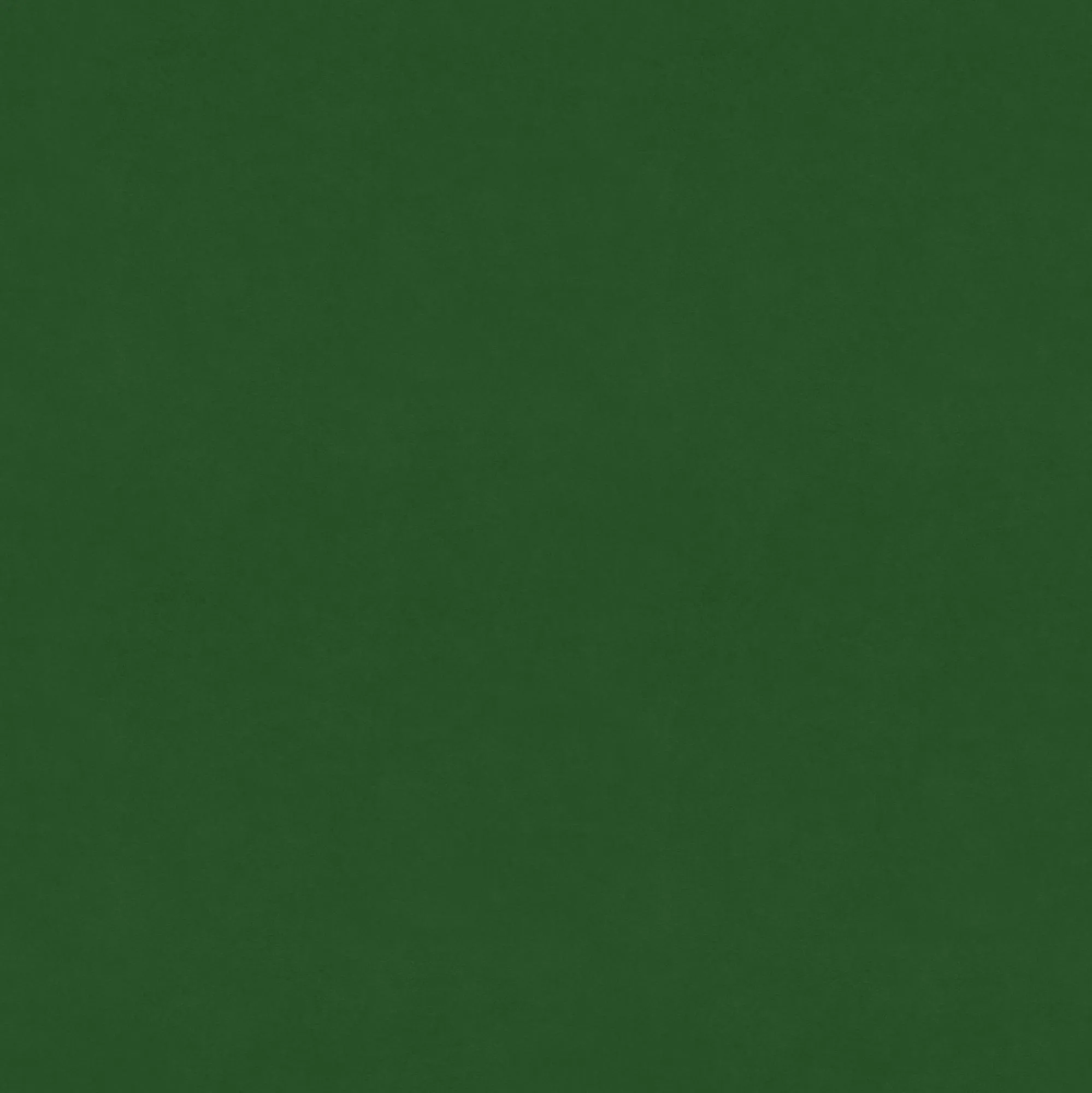 null #1