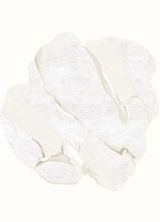 bianco-gigapixel-standard