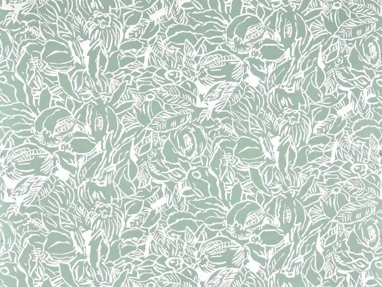 Обои для стен Pierre Frey Iles Enchantees FP977002