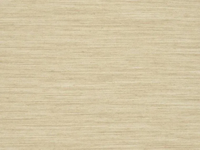 Обои для стен Pierre Frey Natecru Textures 2 FP919002