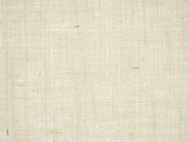 Обои для стен Pierre Frey Natecru Textures 2 FP939001