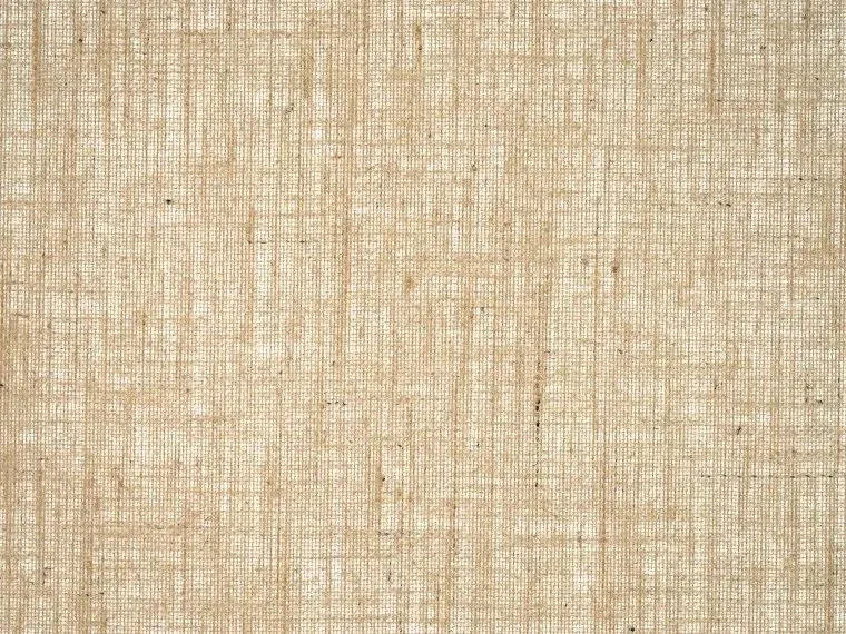 Обои для стен Pierre Frey Natecru Textures 2 FP939003