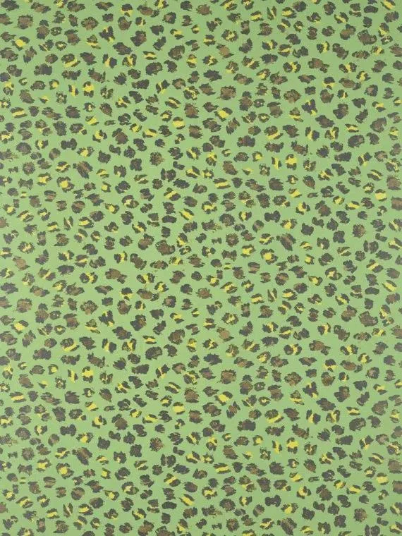 Обои для стен Pierre Frey Carnet de Voyage FP069004