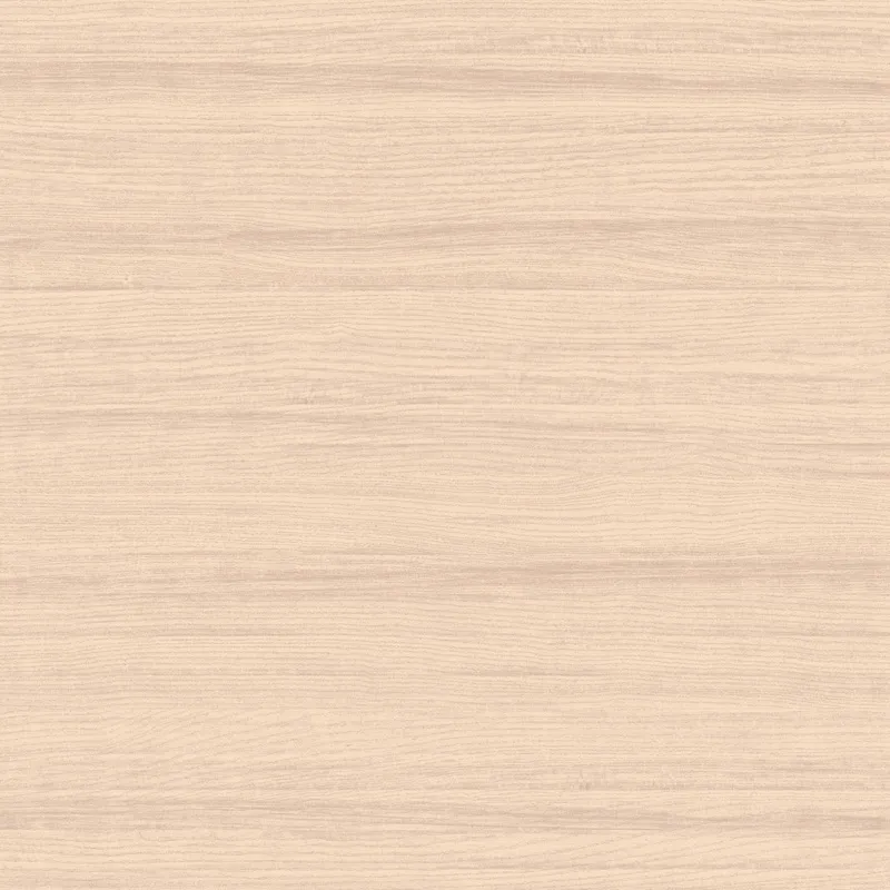 Обои для стен Loymina Terra TER2002_1