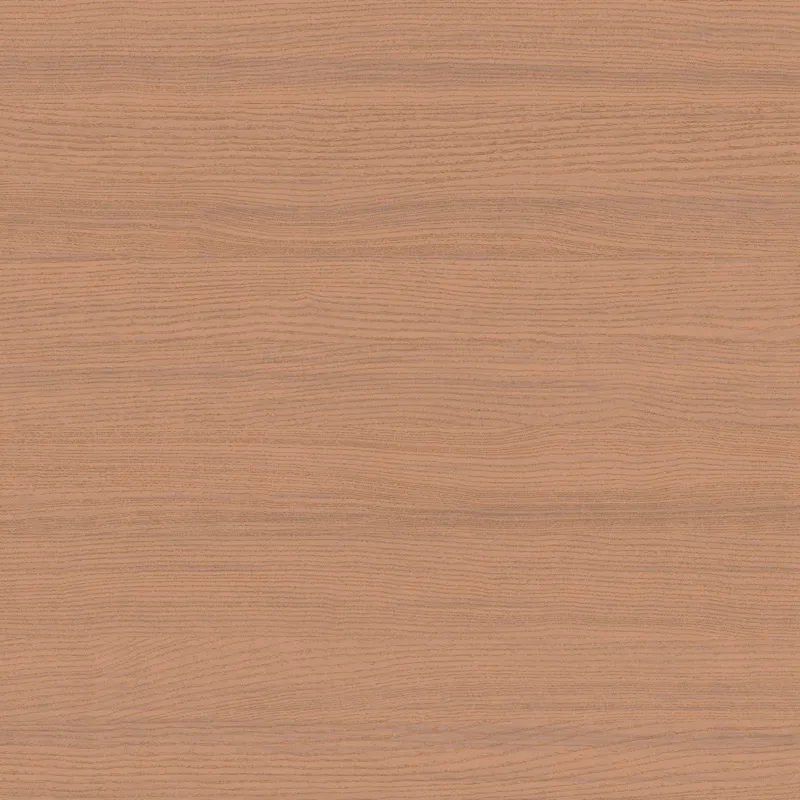 Обои для стен Loymina Terra TER2004_1