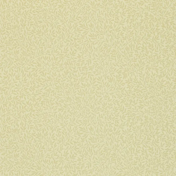 Обои для стен Morris & Co Morris and Friends Wallpapers DGW148107