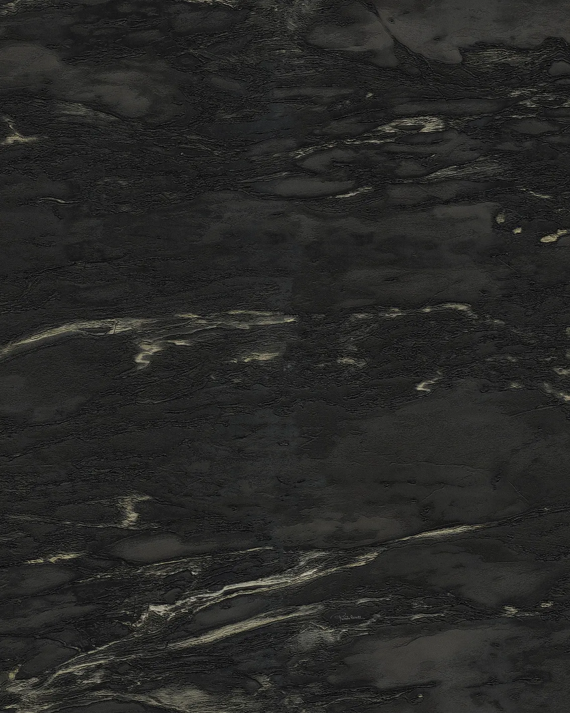 Обои для стен Roberto Cavalli No.9 21026