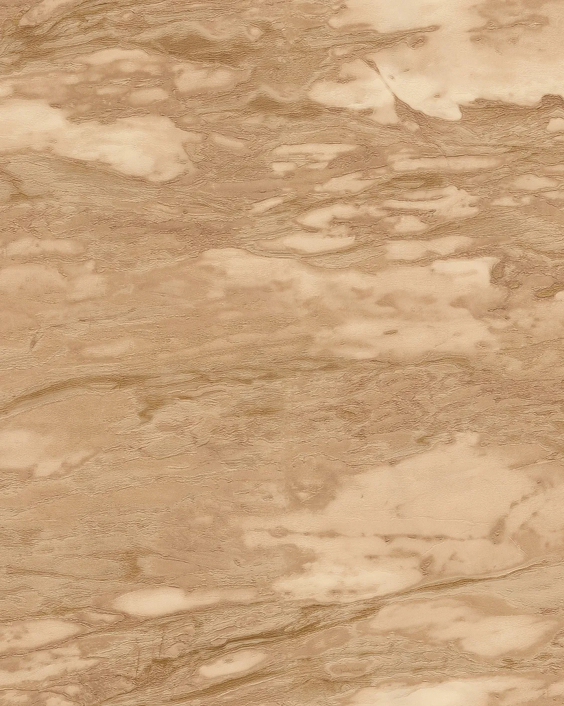 Обои для стен Roberto Cavalli No.9 21029