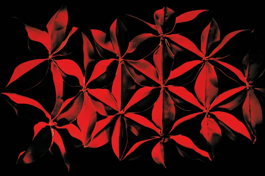 Шезлонг Antibodi by Patricia Urquiola #2