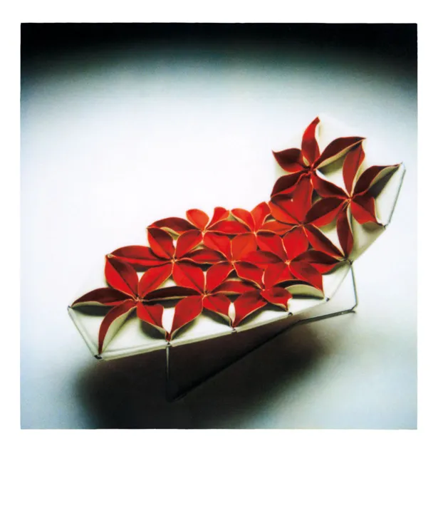 Шезлонг Antibodi by Patricia Urquiola #11