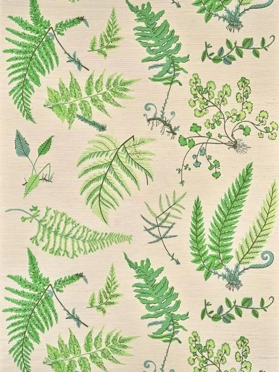 Обои для стен Pierre Frey Jardins Secrets Wallpapers FP084002