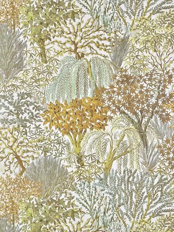 Обои для стен Pierre Frey Jardins Secrets Wallpapers FP104002