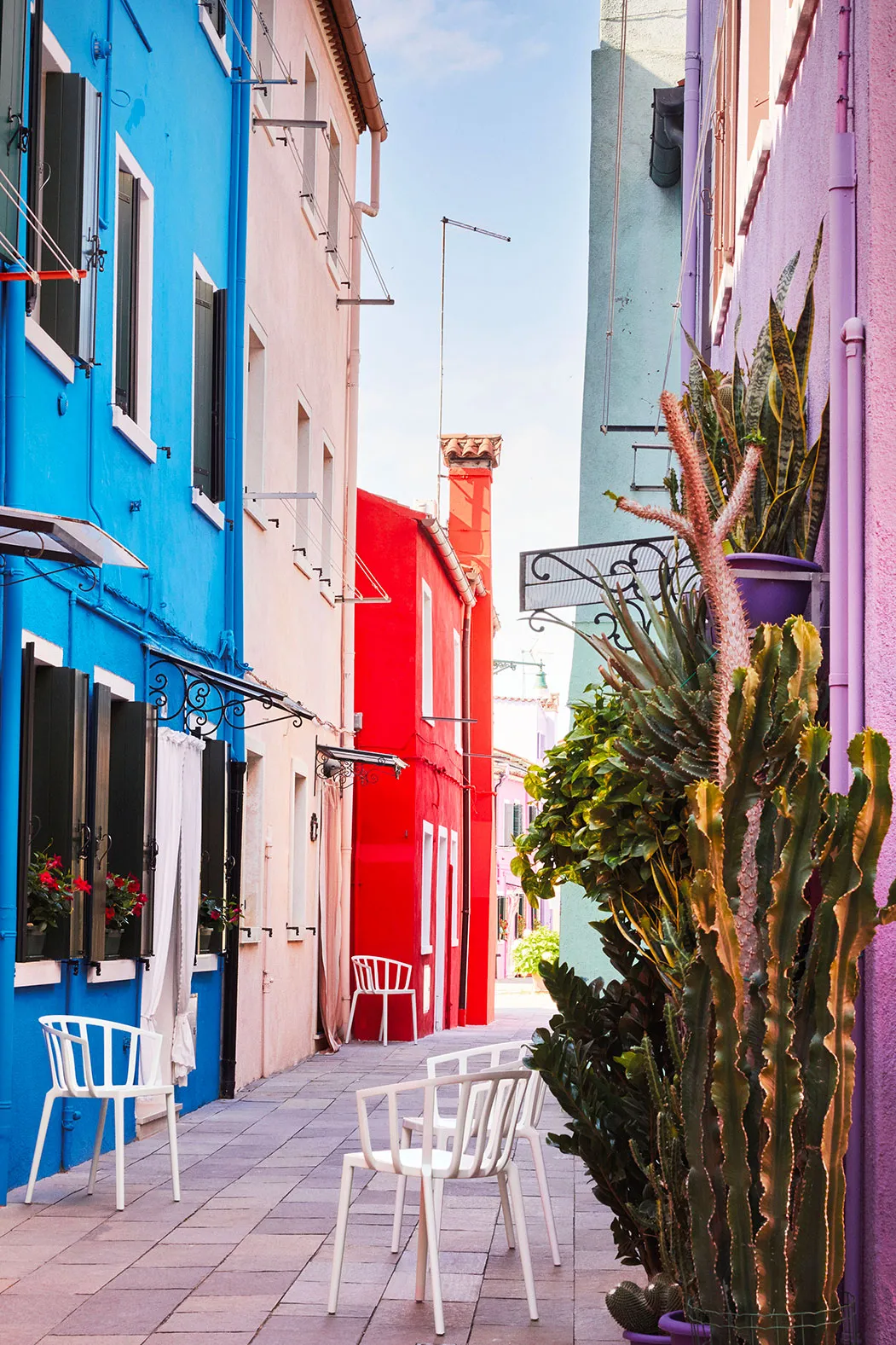 Стул Venice mat by Philippe Starck #2