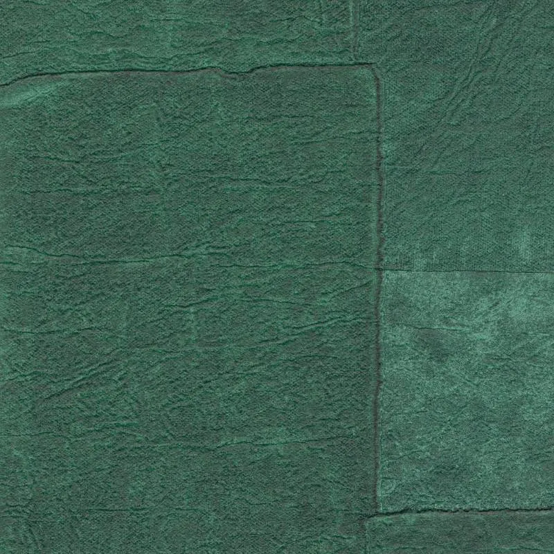 Обои для стен Elitis Sangpi vp-1018-60