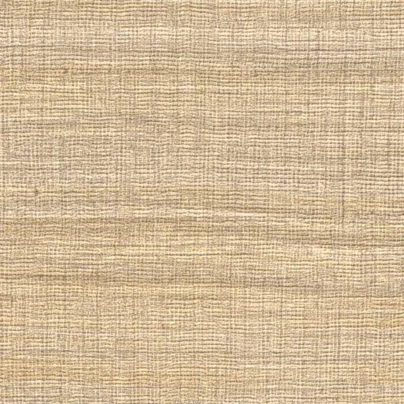 Обои для стен Elitis Ceres vp-1008-06