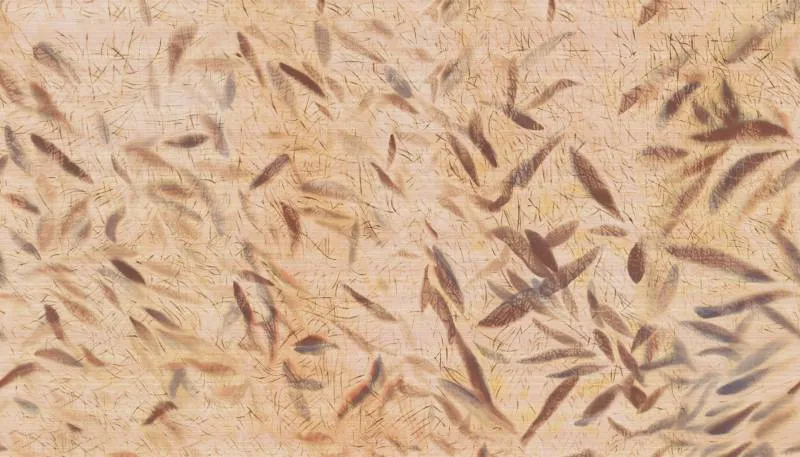 Обои для стен Elitis Ceres vp-1014-01