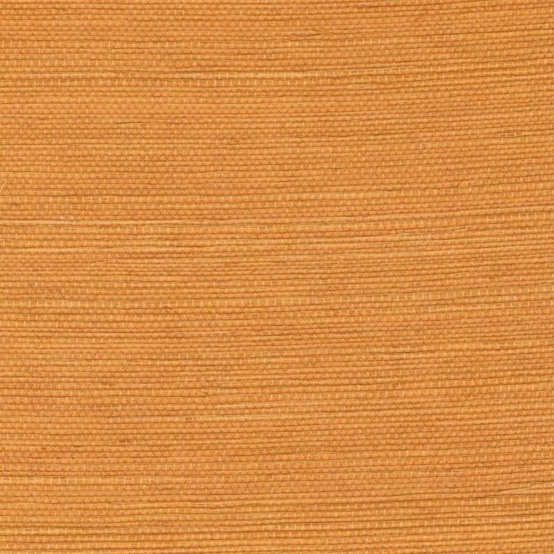 Обои для стен Elitis Tribus rm-1069-22