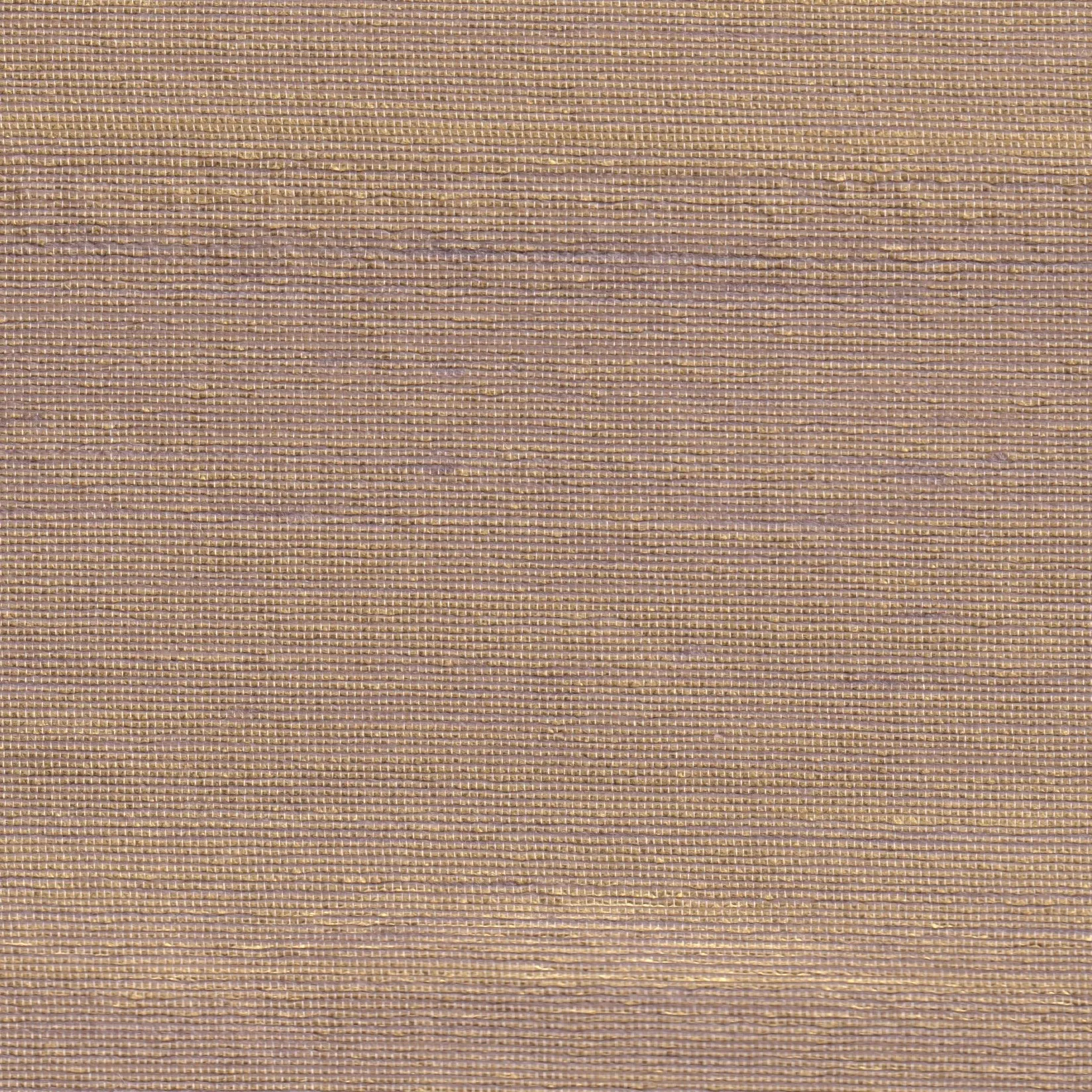 Обои для стен Yana Svetlova Natural Silk T-NatS-02