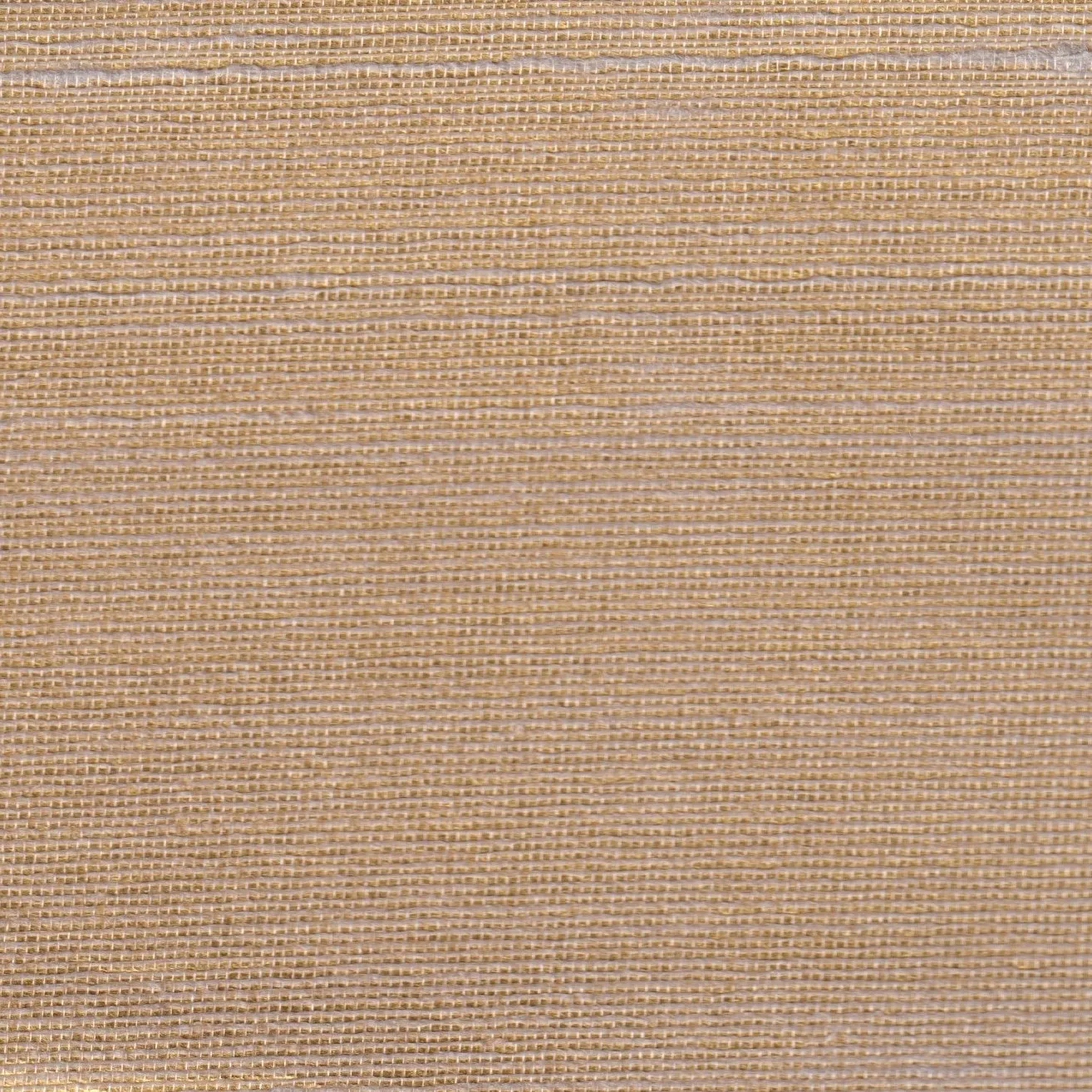 Обои для стен Yana Svetlova Natural Silk T-NatS-19