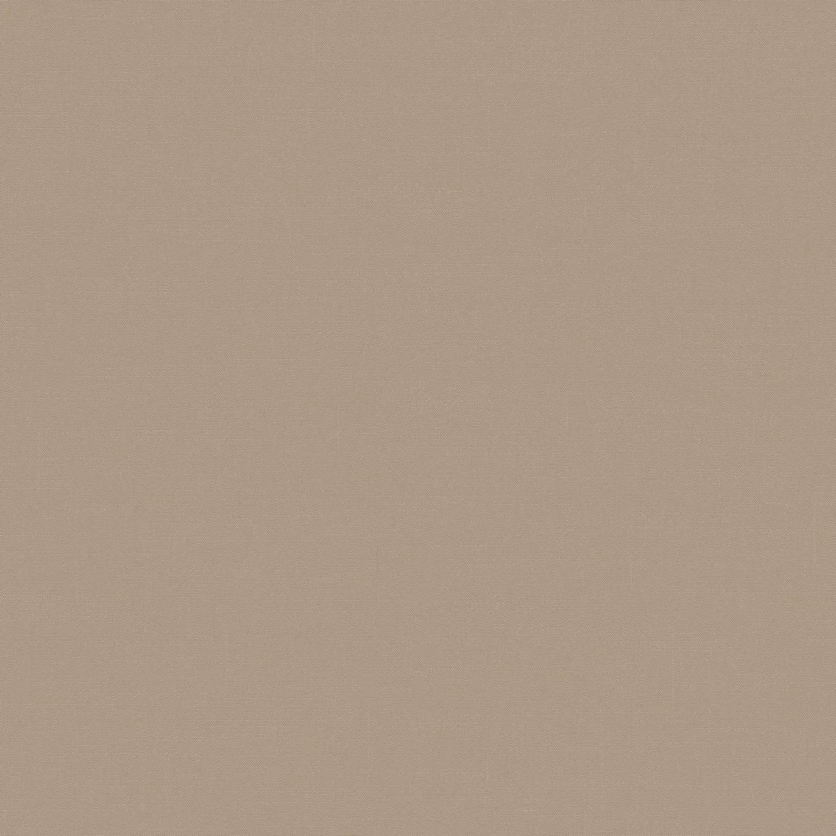 Обои для стен Loymina Шервуд BRIT31002_2