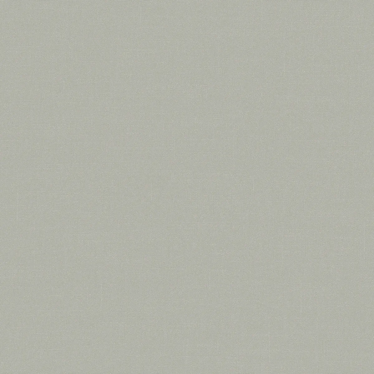 Обои для стен Loymina Шервуд BRIT31005