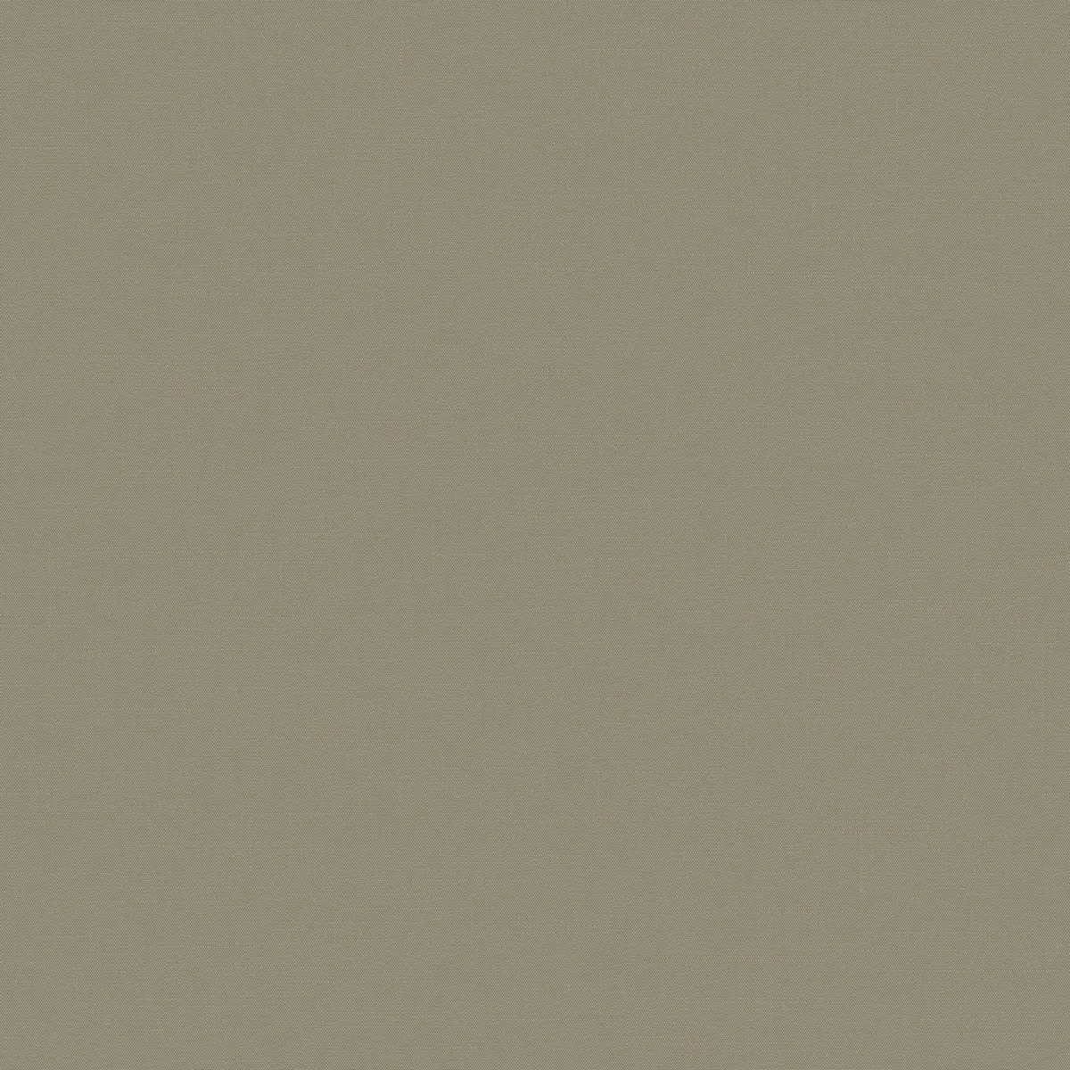 Обои для стен Loymina Шервуд BRIT31005_1