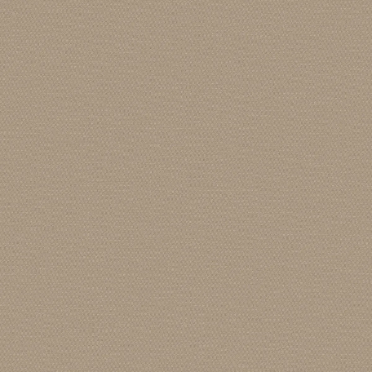 Обои для стен Loymina Шервуд BRIT31005_2