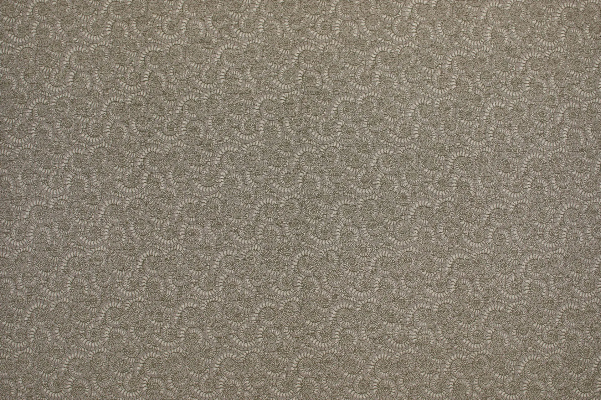 Ткань Lelievre Ammonite 3233_03